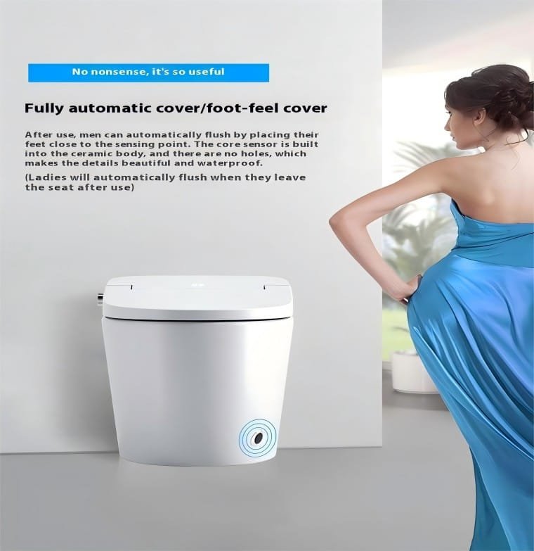 Intelligent Lavatory Toilet