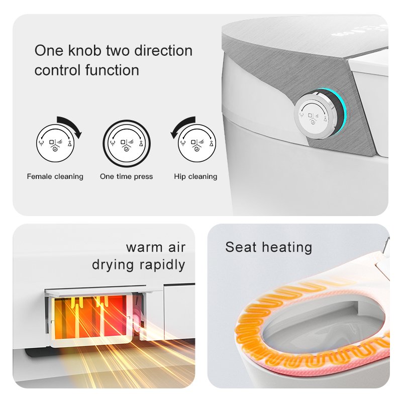 Automatic Flush System and Heated Seat Control Panel