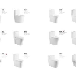 Ceramic Toilet Series 1