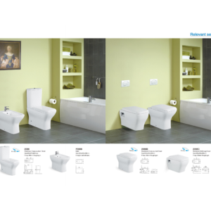 Toilet with Dual Flush System