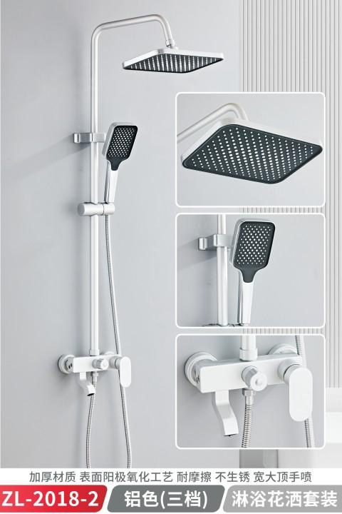 Multi-Function Showerhead Set 2018-3